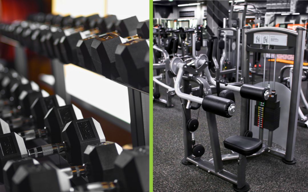Free Weights vs. Machines: Which Is Better for Building Strength?